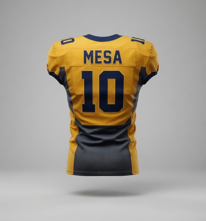 American Football Professional Top - Back View