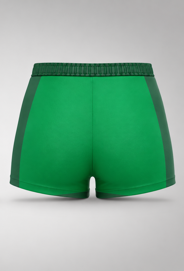 CUSTOM VOLLEYBALL SHORTS - Back View